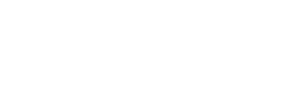 Pegasus Real Estate